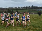 3 March 2022; A general view of the junior girls 2500m during the Irish Life Health Munster Schools Cross Country Championships at Riverstick, Boulaling, Cork. Photo by David Fitzgerald/Sportsfile