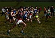 3 March 2022; A general view of the minor boys 2500m during the Irish Life Health Munster Schools Cross Country Championships at Riverstick, Boulaling, Cork. Photo by David Fitzgerald/Sportsfile