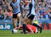 3 August 2013; Michael Shields, Cork, appears to touch the ball on the ground inside the small square during a first half penalty incident. GAA Football All-Ireland Senior Championship, Quarter-Final, Dublin v Cork, Croke Park, Dublin. Picture credit: Oliver McVeigh / SPORTSFILE
