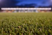 11 March 2022; A detailed view of the grass at Tallaght Stadium before the SSE Airtricity League Premier Division match between Shamrock Rovers and Bohemians at Tallaght Stadium in Dublin. Photo by Stephen McCarthy/Sportsfile