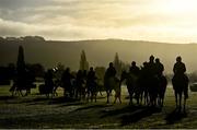 14 March 2022; Horses from Gordon Elliott's string on the gallops ahead of the Cheltenham Racing Festival at Prestbury Park in Cheltenham, England. Photo by Seb Daly/Sportsfile