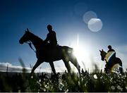 14 March 2022; Horses from trainer Gordon Elliott's string on the gallops ahead of the Cheltenham Racing Festival at Prestbury Park in Cheltenham, England. Photo by David Fitzgerald/Sportsfile