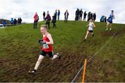 12 March 2022; Darragh Reynolds of St Josephs Foxford, Mayo, competing in the junior boys 3500m during the Irish Life Health All-Ireland Schools Cross Country at the City of Belfast Mallusk Playing Fields in Belfast. Photo by Ramsey Cardy/Sportsfile