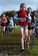 12 March 2022; Grace Bennett of Wallace High School, Lisburn, Antrim, competing in the junior girls 2500m during the Irish Life Health All-Ireland Schools Cross Country at the City of Belfast Mallusk Playing Fields in Belfast. Photo by Ramsey Cardy/Sportsfile