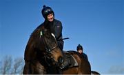 14 March 2022; Appreciate It, and David Casey, on the gallops ahead of the Cheltenham Racing Festival at Prestbury Park in Cheltenham, England. Photo by Seb Daly/Sportsfile