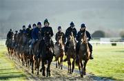 14 March 2022; Horses from trainer Gordon Elliott's string on the gallops ahead of the Cheltenham Racing Festival at Prestbury Park in Cheltenham, England. Photo by Seb Daly/Sportsfile