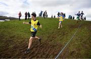 12 March 2022; Sam O'Neill of St Marys Drogheda, Louth, competing in the junior boys 3500m during the Irish Life Health All-Ireland Schools Cross Country at the City of Belfast Mallusk Playing Fields in Belfast. Photo by Ramsey Cardy/Sportsfile
