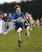 12 March 2022; Aaron Fitzsimons of Wicklow Educate Together Secondary School, Wicklow, competing in the junior boys 3500m during the Irish Life Health All-Ireland Schools Cross Country at the City of Belfast Mallusk Playing Fields in Belfast. Photo by Ramsey Cardy/Sportsfile