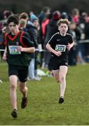 12 March 2022; Finnian Ó Lachtnain of Scoil Mhuire Ballingeary, Cork, competing in the junior boys 3500m during the Irish Life Health All-Ireland Schools Cross Country at the City of Belfast Mallusk Playing Fields in Belfast. Photo by Ramsey Cardy/Sportsfile