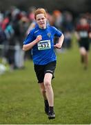 12 March 2022; Shane Talty of Colaiste an Eachreidh Athenry, Galway, competing in the junior boys 3500m during the Irish Life Health All-Ireland Schools Cross Country at the City of Belfast Mallusk Playing Fields in Belfast. Photo by Ramsey Cardy/Sportsfile