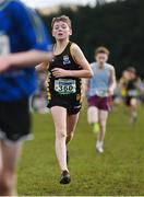12 March 2022; Matthew Molloy of St Finians, competing in the junior boys 3500m during the Irish Life Health All-Ireland Schools Cross Country at the City of Belfast Mallusk Playing Fields in Belfast. Photo by Ramsey Cardy/Sportsfile