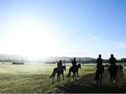 14 March 2022; Horses from trainer Gordon Elliott's string on the gallops ahead of the Cheltenham Racing Festival at Prestbury Park in Cheltenham, England. Photo by David Fitzgerald/Sportsfile