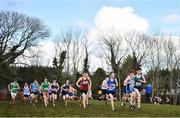12 March 2022; Action during the intermediate boys 5000m during the Irish Life Health All-Ireland Schools Cross Country at the City of Belfast Mallusk Playing Fields in Belfast. Photo by Ramsey Cardy/Sportsfile