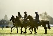 14 March 2022; Horses from trainer Gordon Elliott's string on the gallops ahead of the Cheltenham Racing Festival at Prestbury Park in Cheltenham, England. Photo by Seb Daly/Sportsfile