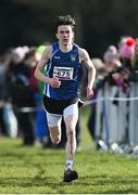 12 March 2022; Ethan Doherty of Rice College Westport, Mayo, competing in the intermediate boys 5000m during the Irish Life Health All-Ireland Schools Cross Country at the City of Belfast Mallusk Playing Fields in Belfast. Photo by Ramsey Cardy/Sportsfile