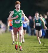 12 March 2022; Ross Killelea of Coláiste Mhuire, Mullingar , Westmeath, competing in the intermediate boys 5000m during the Irish Life Health All-Ireland Schools Cross Country at the City of Belfast Mallusk Playing Fields in Belfast. Photo by Ramsey Cardy/Sportsfile