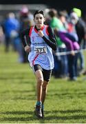12 March 2022; Arturo Martinez Sanchez of Colaiste Chiaran Summerhill Athlone, Westmeath, competing in the intermediate boys 5000m during the Irish Life Health All-Ireland Schools Cross Country at the City of Belfast Mallusk Playing Fields in Belfast. Photo by Ramsey Cardy/Sportsfile