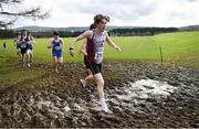 12 March 2022; Ross McGuinness of Presentation College Athenry, Galway, competing in the senior boys 6500m during the Irish Life Health All-Ireland Schools Cross Country at the City of Belfast Mallusk Playing Fields in Belfast. Photo by Ramsey Cardy/Sportsfile
