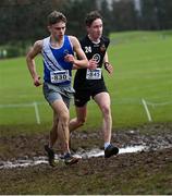 12 March 2022; Adam Condon of Ard Scoil Ris, Dublin, left, and Oisin O'Muiri of Gaelcholaiste Chiarrai, Kerry, competing in the senior boys 6500m during the Irish Life Health All-Ireland Schools Cross Country at the City of Belfast Mallusk Playing Fields in Belfast. Photo by Ramsey Cardy/Sportsfile