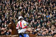 15 March 2022; Spectators watch on as Shallwehaveonemore, with Joshua Moore up, goes to post for the Sky Bet Supreme Novices' Hurdle during day one of the Cheltenham Racing Festival at Prestbury Park in Cheltenham, England. Photo by Seb Daly/Sportsfile