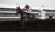 16 March 2022; Global Citizen, with Kielan Woods up, jumps the last on their way to winning the Johnny Henderson Grand Annual Challenge Cup Handicap Chase on day two of the Cheltenham Racing Festival at Prestbury Park in Cheltenham, England. Photo by David Fitzgerald/Sportsfile