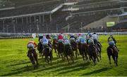 17 March 2022; Runners and riders in the Ryanair Mares' Novices' Hurdle on day three of the Cheltenham Racing Festival at Prestbury Park in Cheltenham, England. Photo by David Fitzgerald/Sportsfile