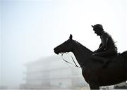 18 March 2022; A statue of the horse Dawn Run with jockey Jonjo O'Neill is seen on day four of the Cheltenham Racing Festival at Prestbury Park in Cheltenham, England. Photo by David Fitzgerald/Sportsfile