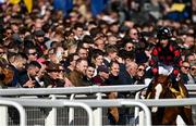 18 March 2022; Racegoers look on as Ages Of Man, with Jonathan Moore up, goes to post before the JCB Triumph Hurdle during day four of the Cheltenham Racing Festival at Prestbury Park in Cheltenham, England. Photo by Seb Daly/Sportsfile