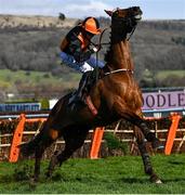 18 March 2022; Shantreusse, with Rachael Blackmore up, recovers after a near fall during the Albert Bartlett Novices' Hurdle during day four of the Cheltenham Racing Festival at Prestbury Park in Cheltenham, England. Photo by David Fitzgerald/Sportsfile