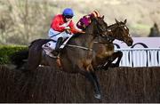 18 March 2022; A Plus Tard, with Rachael Blackmore up, left, leads eventual second placed Minella Indo, with Robbie Power up, over the last on their way to winning the Boodles Cheltenham Gold Cup Chase during day four of the Cheltenham Racing Festival at Prestbury Park in Cheltenham, England. Photo by David Fitzgerald/Sportsfile