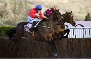 18 March 2022; A Plus Tard, with Rachael Blackmore up, left, leads eventual second placed Minella Indo, with Robbie Power up, over the last on their way to winning the Boodles Cheltenham Gold Cup Chase during day four of the Cheltenham Racing Festival at Prestbury Park in Cheltenham, England. Photo by David Fitzgerald/Sportsfile