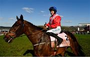 18 March 2022; Rachael Blackmore celebrates aboard A Plus Tard after winning the Boodles Cheltenham Gold Cup Chase during day four of the Cheltenham Racing Festival at Prestbury Park in Cheltenham, England. Photo by Seb Daly/Sportsfile