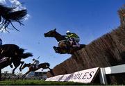 18 March 2022; Chantry House, with Nico de Boinville up, jump the last first time round during the Boodles Cheltenham Gold Cup Chase during day four of the Cheltenham Racing Festival at Prestbury Park in Cheltenham, England. Photo by David Fitzgerald/Sportsfile Photo by David Fitzgerald/Sportsfile