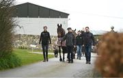 21 March 2022; Jockey Rachael Blackmore and trainer Henry de Bromhead walk with A Plus Tard and groom Johnny Ferguson during the homecoming of Cheltenham Gold Cup winner A Plus Tard at Henry de Bromhead’s Training Yard in Knockeen, Waterford. Photo by Harry Murphy/Sportsfile