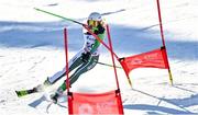 23 March 2022; Charlotte Turner of Team Ireland competing in the Girls Parallel Slalom event during day four of the 2022 European Youth Winter Olympic Festival in Vuokatti, Finland. Photo by Eóin Noonan/Sportsfile