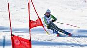 23 March 2022; Megan Ryan of Team Ireland competing in the Girls Parallel Slalom event during day four of the 2022 European Youth Winter Olympic Festival in Vuokatti, Finland. Photo by Eóin Noonan/Sportsfile