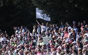 27 March 2022; A Kildare supporter at the Allianz Football League Division 1 match between Mayo and Kildare at Avant Money Páirc Seán Mac Diarmada in Carrick-on-Shannon, Leitrim. Photo by Piaras Ó Mídheach/Sportsfile