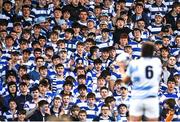 3 April 2022; Blackrock College supporters look on during the Bank of Ireland Leinster Rugby Schools Senior Cup Final match between Gonzaga College and Blackrock College at the RDS Arena in Dublin. Photo by Harry Murphy/Sportsfile