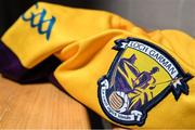 15 April 2022; The Wexford GAA Crest during a Wexford football squad portrait session at Wexford GAA Centre of Excellence in Ferns, Wexford. Photo by Matt Browne/Sportsfile