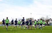 16 April 2022; UCD players warm-up before the Frazer McMullen all Ireland club U20 Rugby final match between UCD and Trinity at Lakelands Park, Terenure in Dublin. Photo by Ben McShane/Sportsfile