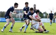 16 April 2022; Stephen Woods of Trinity is tackled by Dylan O'Grady of UCD during the Frazer McMullen all Ireland club U20 Rugby final match between UCD and Trinity at Lakelands Park, Terenure in Dublin. Photo by Ben McShane/Sportsfile