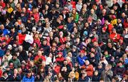 17 April 2022; Cork supporters, in the main stand, during the Munster GAA Hurling Senior Championship Round 1 match between Cork and Limerick at Páirc Uí Chaoimh in Cork. Photo by Ray McManus/Sportsfile