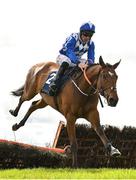 18 April 2022; Britzka, with Davy Russell up, during the Donohue Marquees Juvenile Hurdle on day three of the Fairyhouse Easter Festival at Fairyhouse Racecourse in Ratoath, Meath. Photo by Seb Daly/Sportsfile