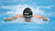 21 April 2022; Danielle Hill of Larne SC competing in her Girls 50 metre butterfly heat during the Swim Ireland Open Championships at the National Aquatic Centre, on the Sport Ireland Campus, in Dublin. Photo by Seb Daly/Sportsfile