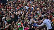 24 April 2022; Mayo supporters react during the Connacht GAA Football Senior Championship Quarter-Final match between Mayo and Galway at Hastings Insurance MacHale Park in Castlebar, Mayo. Photo by Brendan Moran/Sportsfile