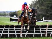 26 April 2022; Sir Gerhard, with Paul Townend up, clears the last on their way to finishing second in the Bective Stud Champion Novice Hurdle during day one of the Punchestown Festival at Punchestown Racecourse in Kildare. Photo by David Fitzgerald/Sportsfile