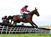 26 April 2022; Sir Gerhard, with Paul Townend up, clears the last on their way to finishing second in the Bective Stud Champion Novice Hurdle during day one of the Punchestown Festival at Punchestown Racecourse in Kildare. Photo by David Fitzgerald/Sportsfile