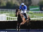 26 April 2022; Energumene, with Paul Townend up, jumps the last on their way to winning the William Hill Champion Steeplechase during day one of the Punchestown Festival at Punchestown Racecourse in Kildare. Photo by David Fitzgerald/Sportsfile