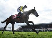27 April 2022; The Nice Guy, with Paul Townend up, cross the line to win the Irish Mirror Novice Hurdle during day two of the Punchestown Festival at Punchestown Racecourse in Kildare. Photo by David Fitzgerald/Sportsfile