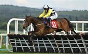 27 April 2022; The Nice Guy, with Paul Townend up, jumps the last on their way to winning the Irish Mirror Novice Hurdle during day two of the Punchestown Festival at Punchestown Racecourse in Kildare. Photo by Seb Daly/Sportsfile